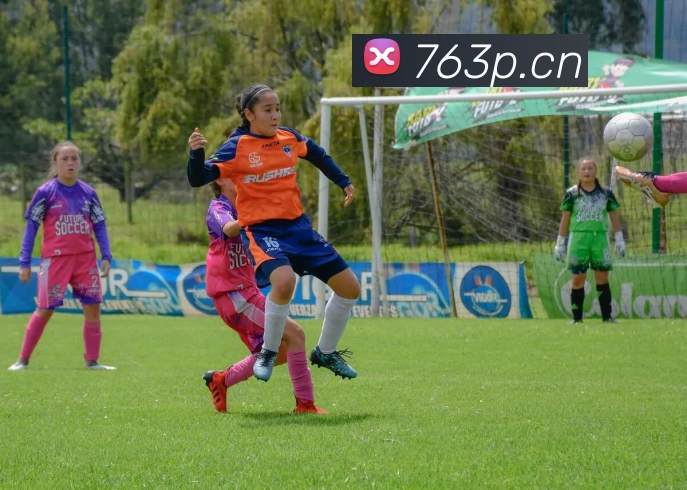 多媒体互动体验